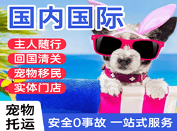 莫力达瓦旗机场快递国际宠物托运 【国